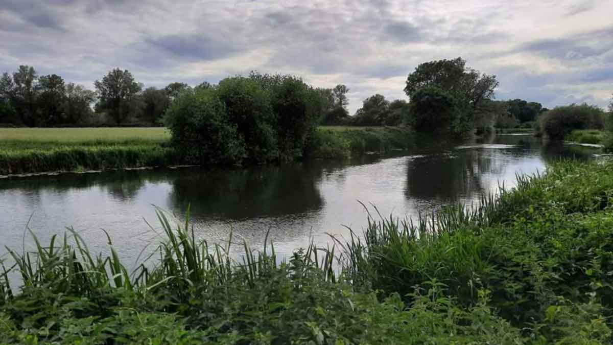 Sacrewell Meadows