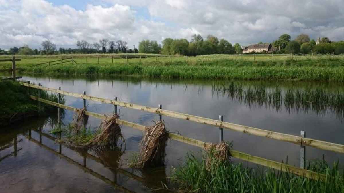 Castor Backwater