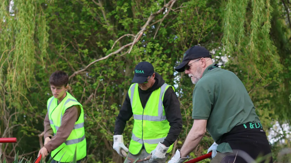 Three P&DAA volunteers clearing bankside growth with long-handled tools.