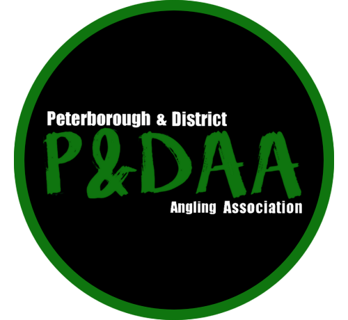 P&DAA